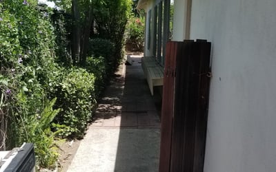 Photo of Mathilde T.'s yard after getting tree care in San Diego, CA