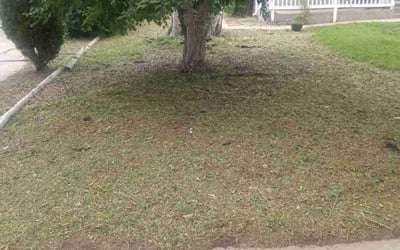 Photo of Joseph R.'s yard after getting landscaping in Georgetown, CO