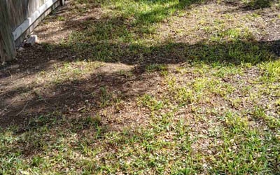 Photo of Willliam W.'s yard after getting landscaping in Kingsbury, TX