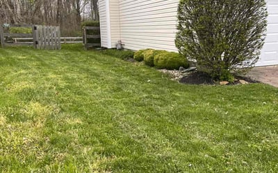 Photo of Kim P.'s yard after getting landscaping in Maineville, OH