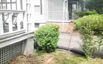Photo of Joseph P. C.'s yard after getting landscaping in Riverdale, MD