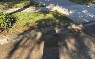 Photo of Ashley B.'s yard after getting tree care in Saint Cloud, FL