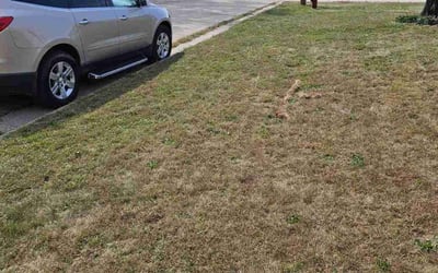 Photo of Ross F.'s yard after getting lawn care in Janesville, WI