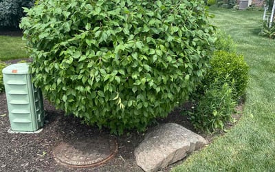 Photo of Debbie W.'s yard after getting landscaping in Greencastle, IN