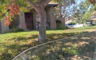 Photo of Elizabeth R.'s yard after getting landscaping in Rancho Cucamonga, CA