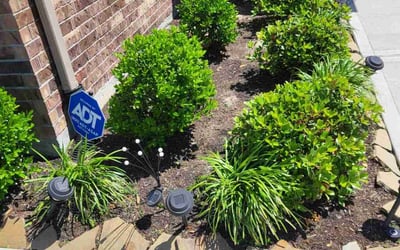 Photo of Julie S.'s yard after getting landscaping in Guy, TX