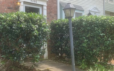 Photo of Stephen B.'s yard after getting landscaping in Franklin, GA
