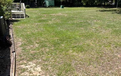 Photo of Keith B.'s yard after getting landscaping in West Columbia, SC