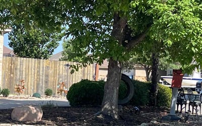 Photo of Nicole J.'s yard after getting landscaping in New Braunfels, TX