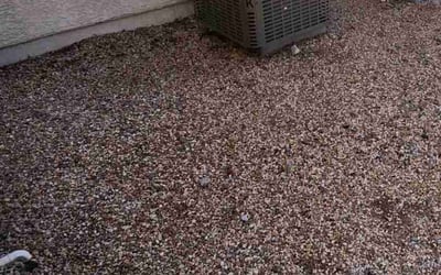 Photo of David M.'s yard after getting landscaping in Logandale, NV