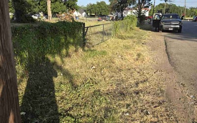 Photo of Yemi O.'s yard after getting landscaping in Nevada, TX