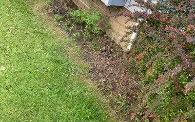 Photo of Tiffany W.'s yard after getting landscaping in Novelty, OH