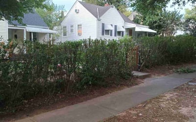 Photo of Caitlin W.'s yard after getting tree care in Quinton, VA