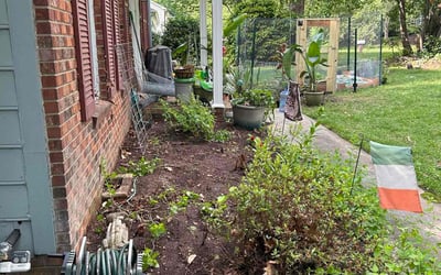 Photo of Megan D.'s yard after getting landscaping in Greensboro, NC