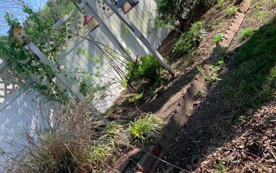Photo of Karen W.'s yard after getting landscaping in Zuni, VA