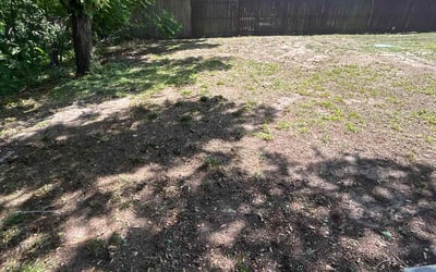 Photo of Andrew C.'s yard after getting landscaping in Seffner, FL