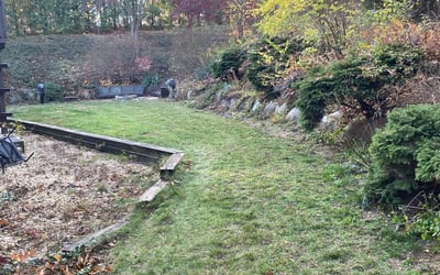Photo of Michelle L.'s yard after getting landscaping in Washington, MI