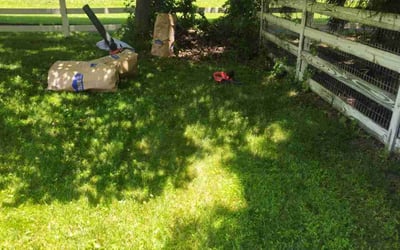 Photo of Isaiah V.'s yard after getting tree care in Clifton, VA