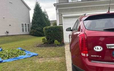 Photo of Matt H.'s yard after getting landscaping in Concord, NC