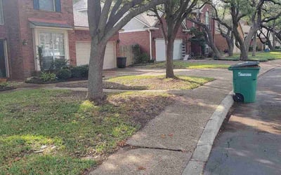 Photo of David S.'s yard after getting landscaping in Yancey, TX