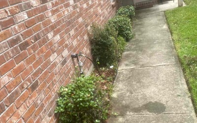 Photo of Sara H.'s yard after getting landscaping in Port Allen, LA