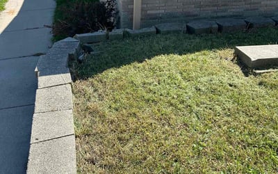 Photo of Barbara B.'s yard after getting landscaping in Sheboygan, WI