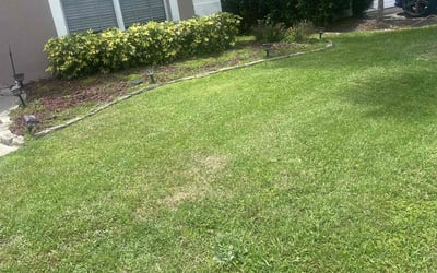 Photo of Kimberly S.'s yard after getting tree care in Fruitland Park, FL