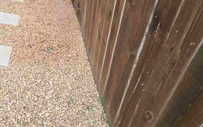 Photo of Donna R.'s yard after getting tree care in Helotes, TX