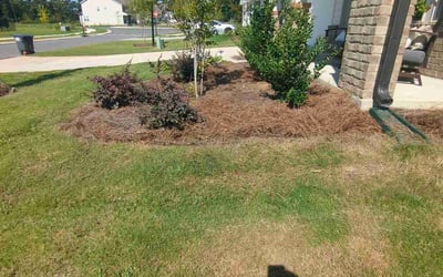 Photo of Christy B.'s yard after getting landscaping in Midland, NC