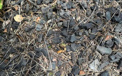 Photo of Deborah H.'s yard after getting landscaping in Lewis Center, OH