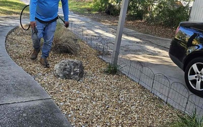 Photo of Judy I.'s yard after getting landscaping in Sydney, FL