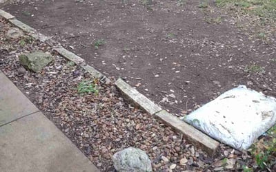 Photo of Pam M.'s yard after getting landscaping in Granger, TX