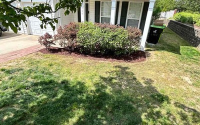 Photo of Derrick K.'s yard after getting landscaping in Morrisville, NC