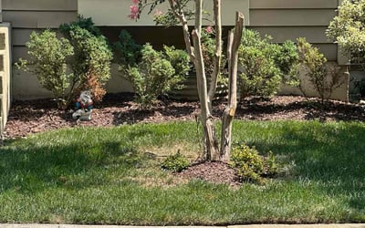 Photo of James H.'s yard after getting landscaping in Chester Gap, VA