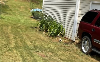 Photo of John M.'s yard after getting tree care in Jonesboro, GA