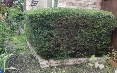 Photo of Debra A.'s yard after getting landscaping in Cresson, TX
