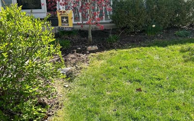 Photo of Kathy R.'s yard after getting landscaping in New Haven, IN