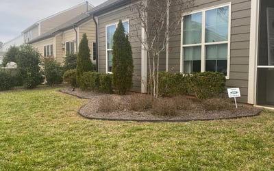 Photo of Bill B.'s yard after getting landscaping in Paw Creek, NC