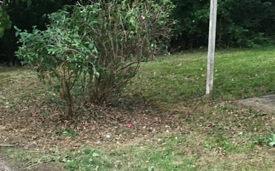 Photo of Brian L.'s yard after getting landscaping in Adrian, MO
