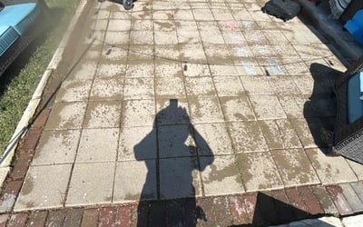 Photo of Robin J.'s yard after getting tree care in Buda, TX