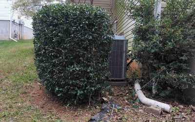 Photo of John A.'s yard after getting landscaping in Barium Springs, NC