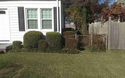Photo of Greg H.'s yard after getting landscaping in Dutton, VA