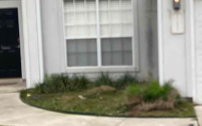 Photo of Richard R.'s yard after getting landscaping in Comfort, TX