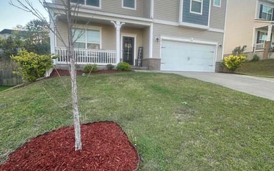 Photo of Lakeisha W.'s yard after getting landscaping in Lexington, SC