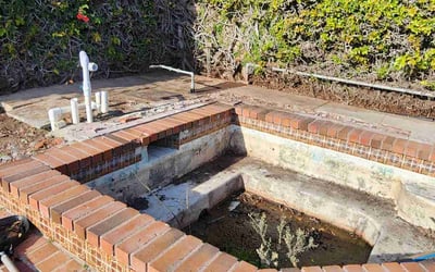 Photo of Alexis B.'s yard after getting landscaping in Los Alamitos, CA