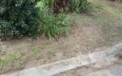 Photo of Ryan L.'s yard after getting landscaping in Chattahoochee, FL