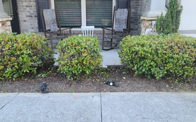 Photo of DEREK A.'s yard after getting landscaping in Concord, GA