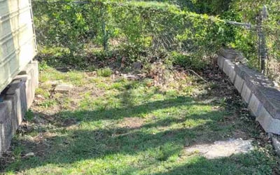 Photo of Robert G.'s yard after getting landscaping in Yuma, AZ