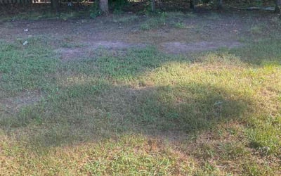 Photo of Chris M.'s yard after getting landscaping in Reva, VA