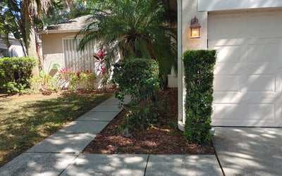 Photo of Juanita T.'s yard after getting landscaping in Sharpes, FL